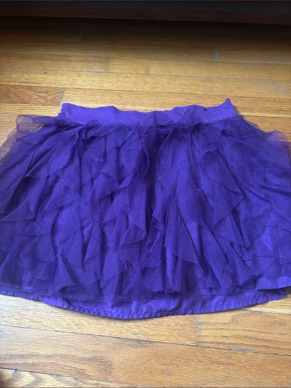GAP Violet Layered Tulle Skirt